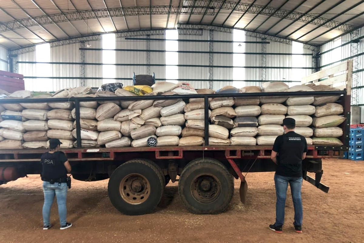 Fueron decomisadas 299 toneladas de soja y 17,5 toneladas de maíz