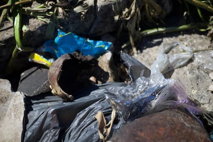 Fueron encontrados 17 cráneos en la costa de Quilmes