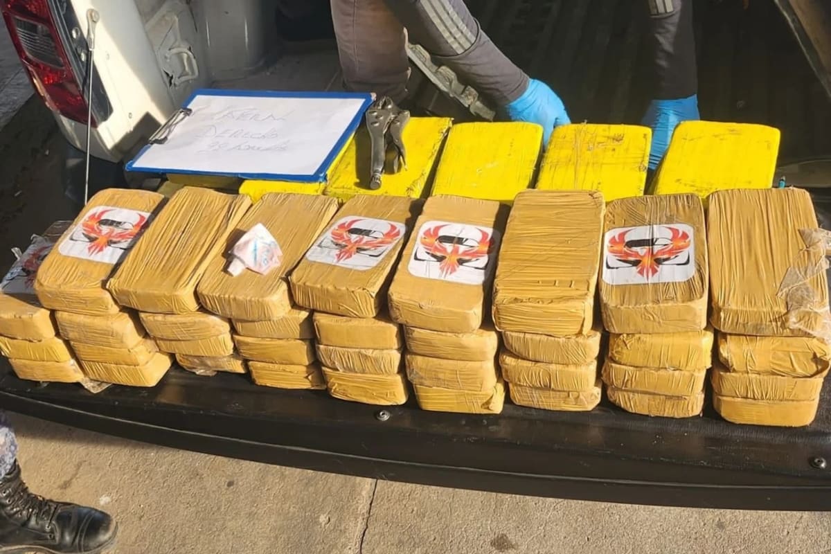 Fueron incautados 66 kilos de cocaína