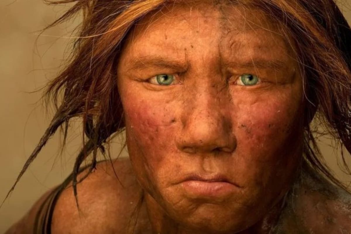 ¿Fueron los neandertales más cultos y sofisticados de lo que se piensa?