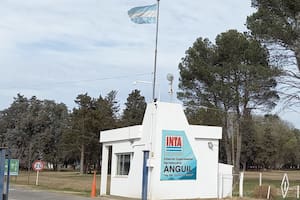 Exautoridades del INTA hablaron de una importante pérdida en el organismo
