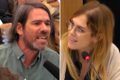 Fuerte cruce entre Lilia Lemoine y Nicolás del Caño en el plenario de comisiones de Diputados