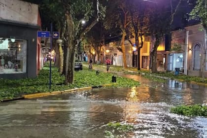 Fuerte granizo en Villa Mercedes, San Luis