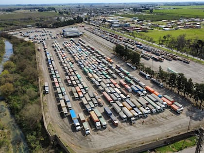 Fuerte ingreso de camiones a Bunge por el ritmo de las exportaciones