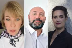 Fuerte repudio a los dichos del director de la Agencia Nacional de Discapacidad (Andis) (Foto: Instagram @inestestevezin @julietadiaz77 )