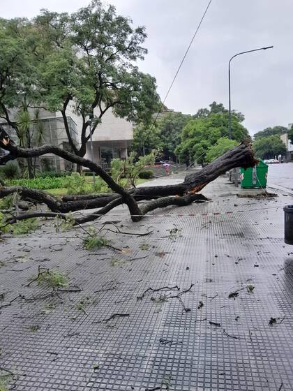 Fuertes vientos en la Ciudad.