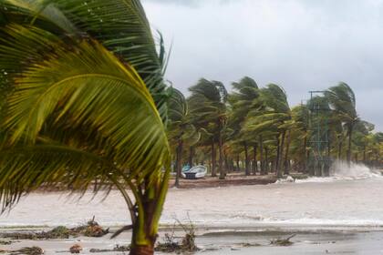 Hay miles de evacuados