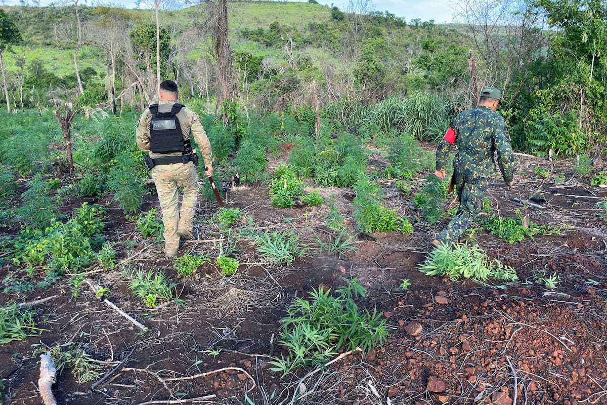 Fuerzas Armadas de Paraguay