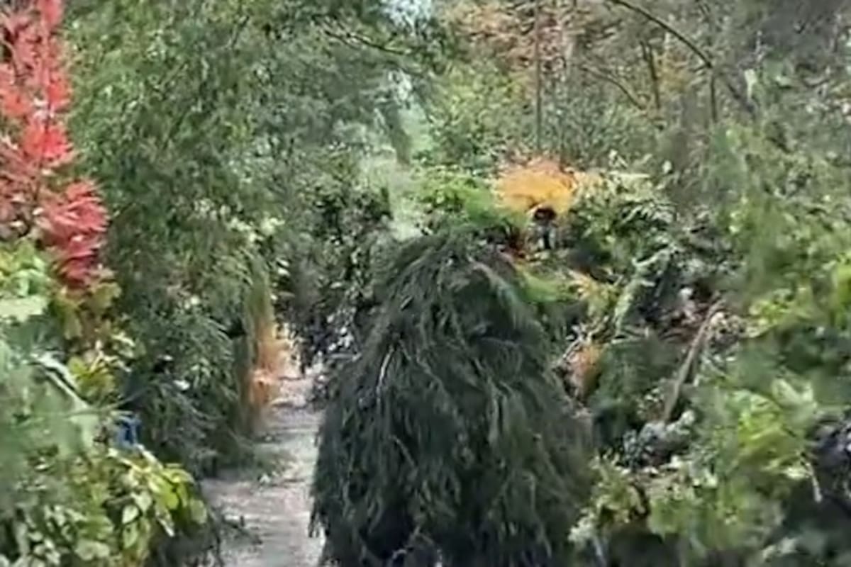 Fuerzas especiales de Ucrania