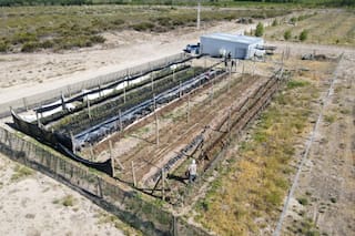 Pusieron pistachos donde nadie lo imaginaba y la zona ya es un rotundo éxito