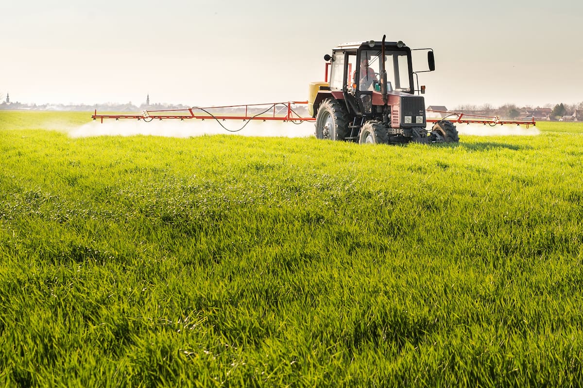 Fumigación en un cultivo de trigo