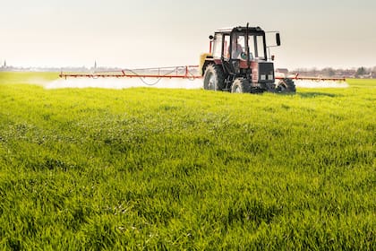 Fumigación en un cultivo de trigo