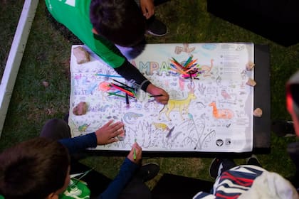 Fundación Vida Silvestre ha desarrollado desde 2018 más de 28 cursos gratuitos que abarcan temáticas como educación ambiental, cambio climático y especies amenazadas, con más de 17.000 alumnos alrededor del país
