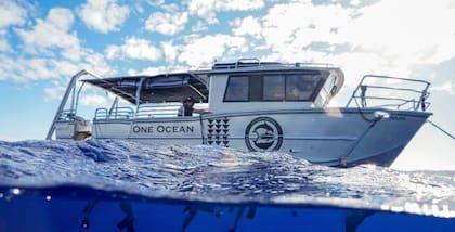 Fundada en 2011, One Ocean Diving combina programas de buceo, de divulgación educativa y campañas de acción para promover la conservación