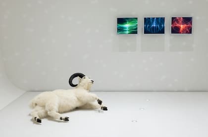 Fundada por Laura Bardier, ESTE ARTE se consolidó como una plataforma clave para las artes visuales en el Cono Sur, fomentando el diálogo, el pensamiento crítico y las buenas prácticas en el sector