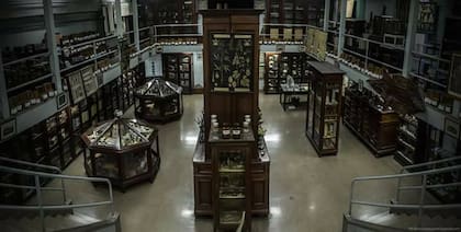 Fundado por el farmacéutico Juan Aníbal Domínguez, el Museo de Farmacobotánica tiene su sede en la Facultad de Farmacia y Bioquímica de la UBA
