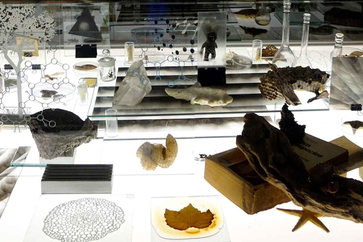 Gabinete de curiosidades, instalación de Pablo La Padula exhibida hasta abril de este año en el CCK