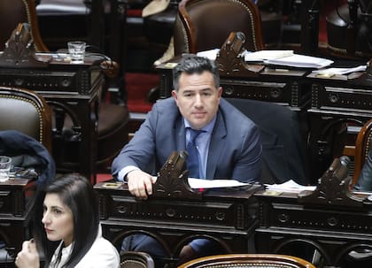 Gabriel Bornoroni, jefe de la bancada libertaria