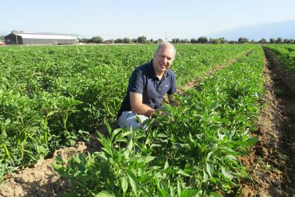 Gabriel Duranti, cofundador de DMC Agroindustrial. Tiene un contrato para vender 250 toneladas del producto a la India