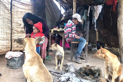 Gabriela Aparicio desayuna mate cocido y pan con sus hijos, en la comunidad La Paloma, en Hickman, Salta
