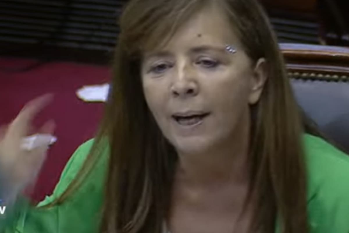 Gabriela Cerruti durante el debate por la legalización del aborto