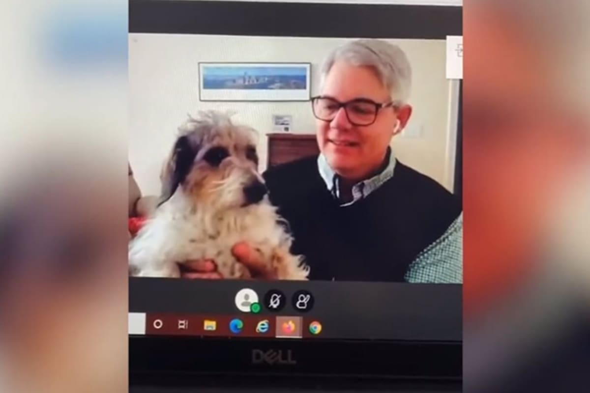 Gabrielle Villacres grabó el momento en que su profesor de astronomía enseñó a sus perros y el video se viralizó en TikTok