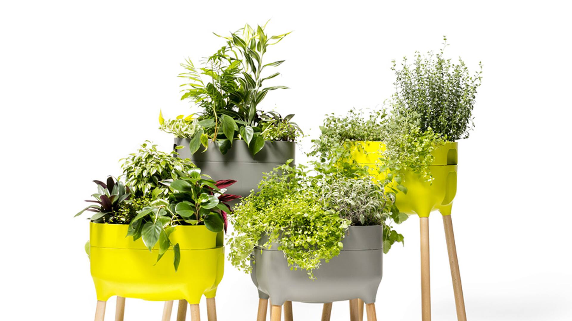Gadgets para jardineros que se toman vacaciones