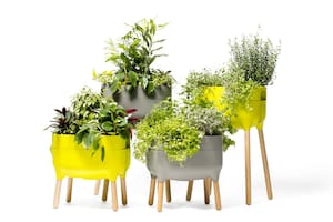 Gadgets para jardineros que se toman vacaciones