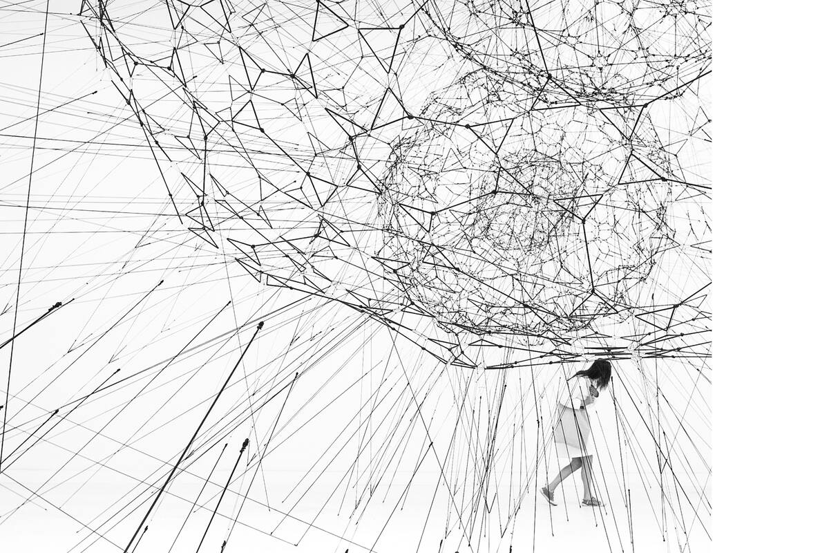 Galaxias formándose a través de filamentos, como si fueran gotas de agua en los hilos de la tela de araña, en la Bienal de Venecia de 2009