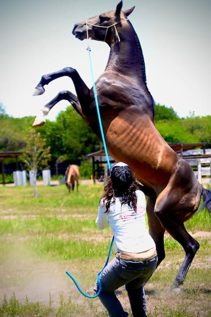 Galeno con Lucía Buteler, la domadora del haras cordobés El Soñado