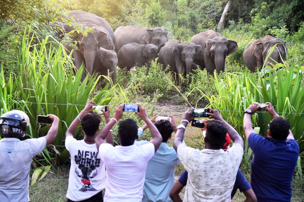 Galgamuwa, Sri Lanka. Edición fotográfica de Jesica Rizzo