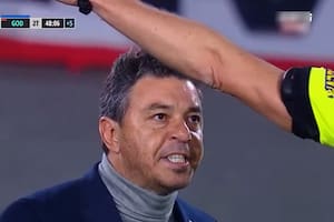 Gallardo, desencajado, va contra Lamolina y lo insulta al árbitro del partido entre River y Godoy Cruz