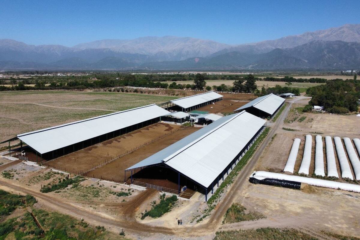 Galpones desde el aire