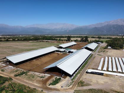 Galpones desde el aire