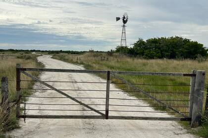 ganaderia tranquera molino