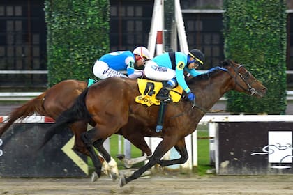 Gardel Pass, con Gonzalo Borda, dejó atrás al favorito Drive Joy en el Gran Premio Polla de Potrillos (G1), en Palermo