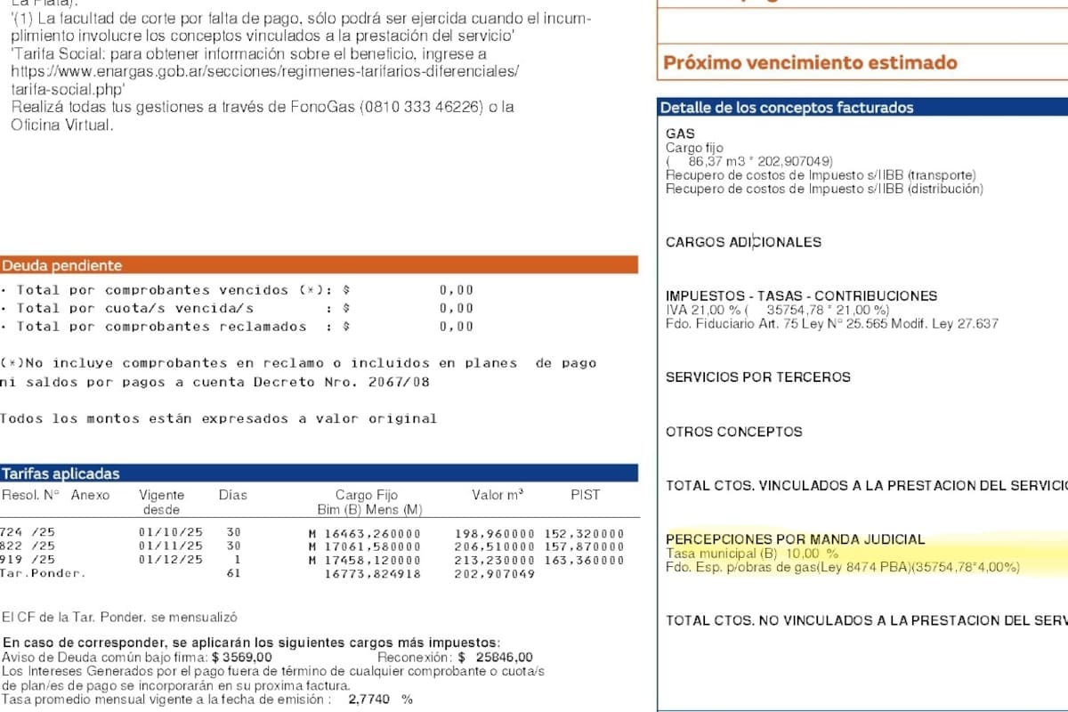 Gas: cautelares judiciales permiten a municipios cobrar cargos extra en la factura
