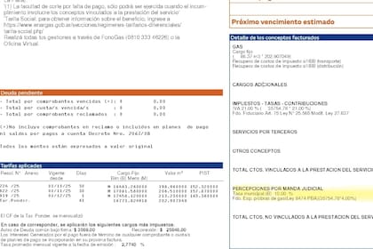 Gas: cautelares judiciales permiten a municipios cobrar cargos extra en la factura