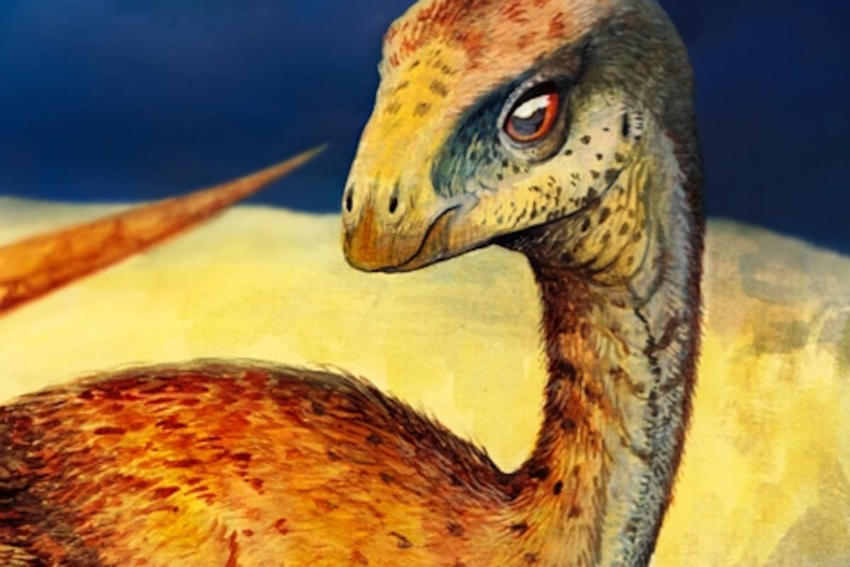 Gasparinisaura cincosaltensis, un pequeño dinosaurio herbívoro. Ilustración: Martina Charnelli.