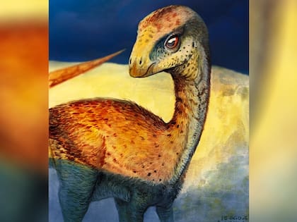 La nueva clasificación emparenta directamente a la especie patagónica con otros dinosaurios descubiertos en otras regiones del mundo