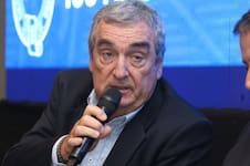 El optimista pronóstico de los CEO del agro por los millones de dólares que podrían entrar al país