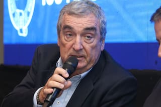 El optimista pronóstico de los CEO del agro por los millones de dólares que podrían entrar al país