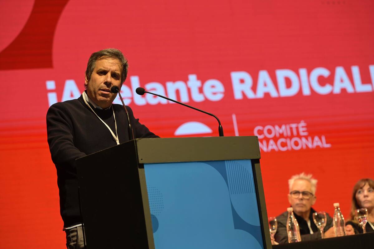 Gastón Manes, presidente de la Convención Nacional de la UCR