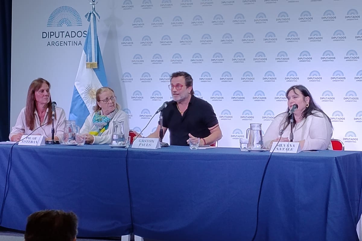 Gastón Pauls (centro) participó en uno de los paneles de la Jornada sobre Salud Mental y Adicciones que se realizó en el Anexo del Congreso