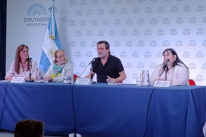 Gastón Pauls (centro) participó en uno de los paneles de la Jornada sobre Salud Mental y Adicciones que se realizó en el Anexo del Congreso