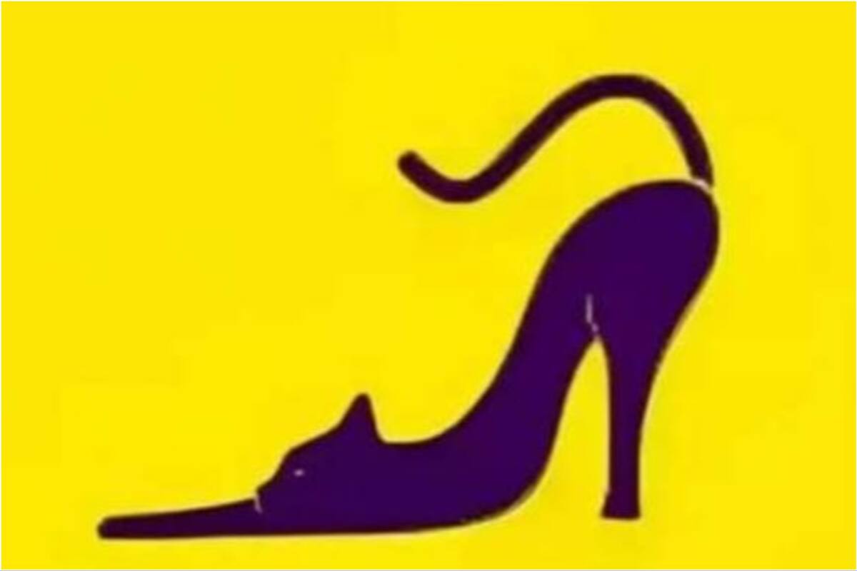 Gato o zapato, el dilema que envuelve a un nuevo test de personalidad