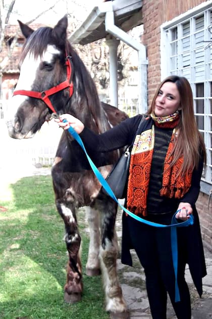 Gato, un símbolo de la lucha contra el cuatrerismo