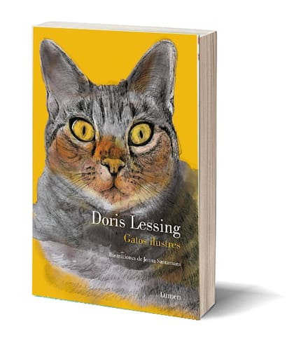 La historia de la literatura podría reescribirse en clave felina; aquí, una selección para homenajear al mejor amigo de los escritores, con una autobiografía de una premio Nobel de Literatura y otras seis recomendaciones