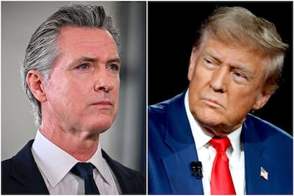 Gavin Newsom criticó a Donald Trump por no aparecer en las campañas para las elecciones a gobernador de Nueva Jersey y Virginia