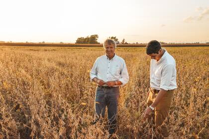 GDM Seeds, la empresa de Gerardo e Ignacio Bartolomé, hoy es líder en la Argentina y en Brasil